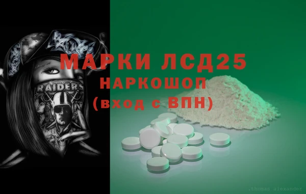 ГАЛЛЮЦИНОГЕННЫЕ ГРИБЫ Осташков
