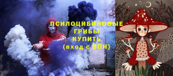 гидропоника Осинники