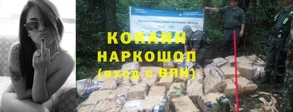ГАЛЛЮЦИНОГЕННЫЕ ГРИБЫ Осташков