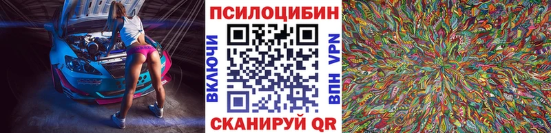 Галлюциногенные грибы Cubensis  Купить  Щёлкино 